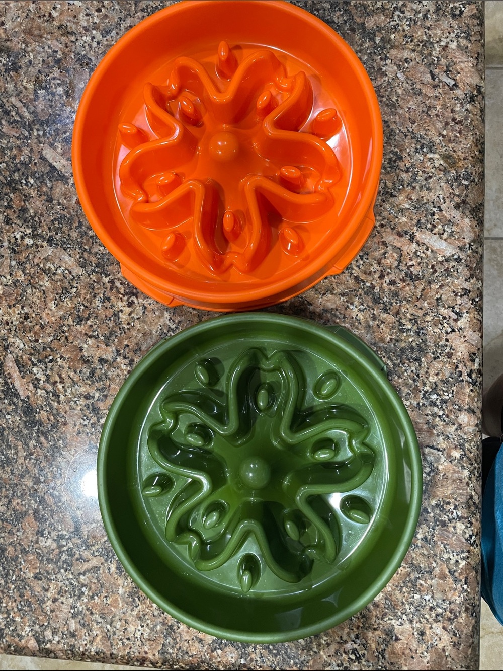Slow Feeder Bowl for Pets - Orange & Green